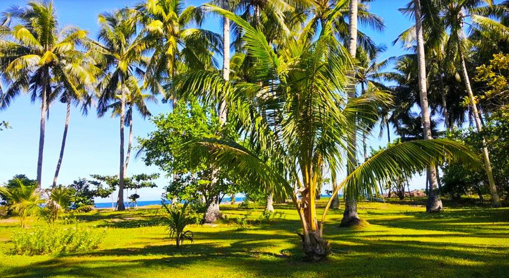 Somewhere Else Boutique Resort Mambajao Exteriör bild
